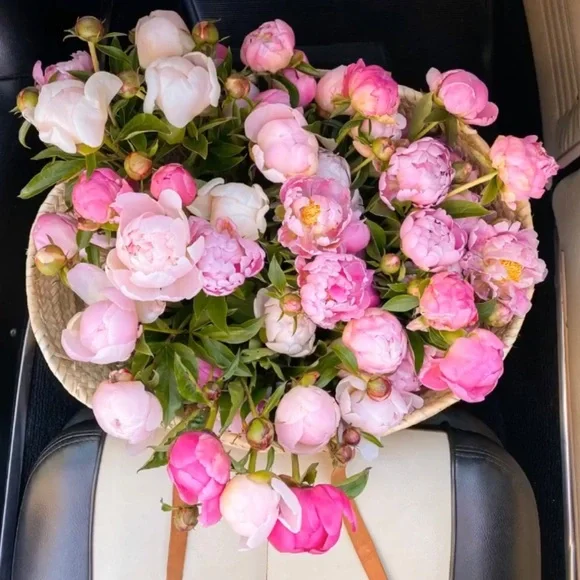 Hello 🌷 - Picture 2 of 11